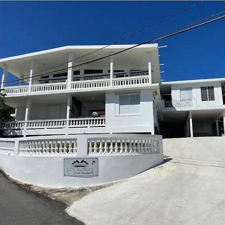Los Roires Beach Apartments Fajardo Ngoại thất bức ảnh